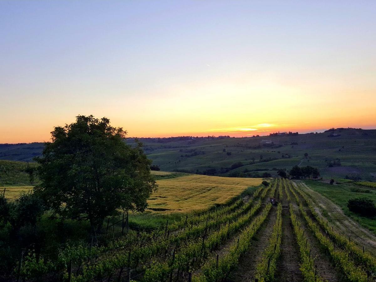La Terrazza Sui Vigneti-rovescala *