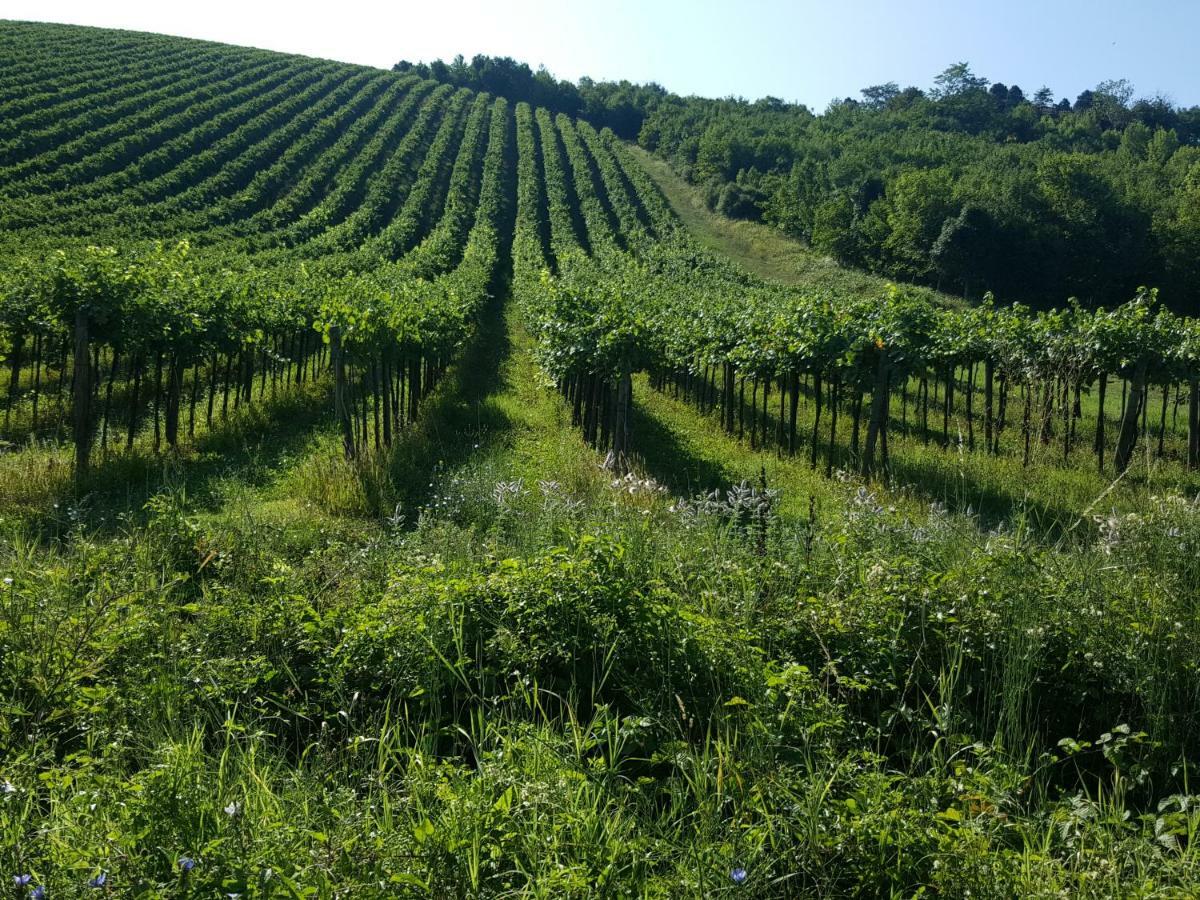 Bed & Breakfast La Terrazza Sui Vigneti-rovescala *