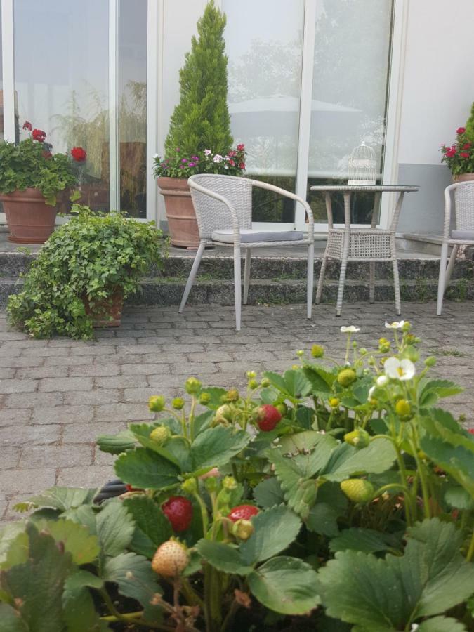 Bed & Breakfast La Terrazza Sui Vigneti-rovescala *